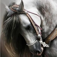 Оригинал схемы вышивки «Белая лошадь» (№1028215)