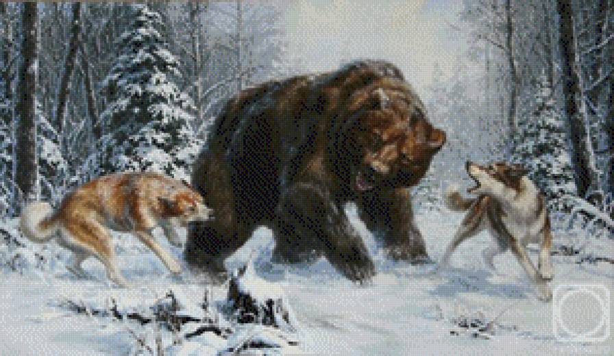 Охота на медведя - собаки, зима, природа, охота, медведь - предпросмотр