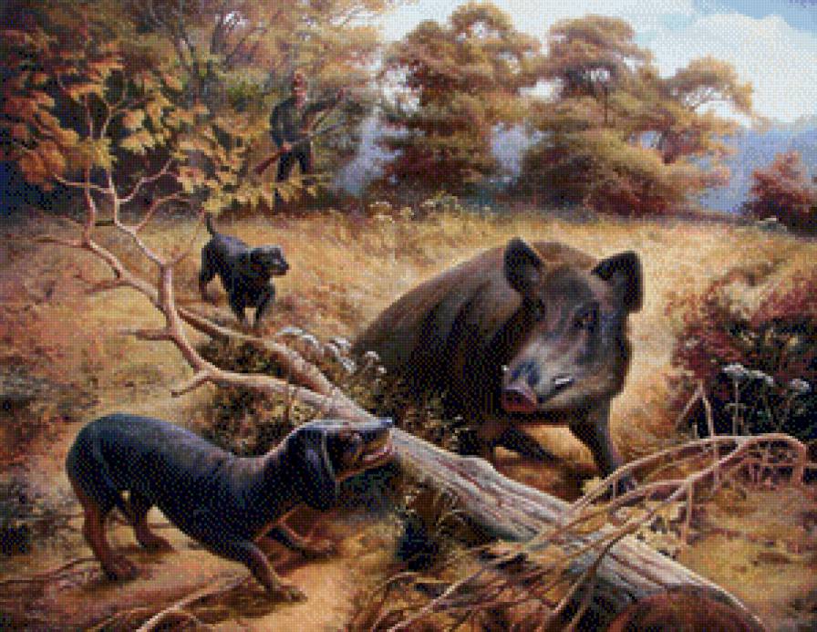 Охота на кабана - охота, звери, такса, лес - предпросмотр
