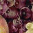 Предпросмотр схемы вышивки «виноград хосе эскофет» (№1030665)