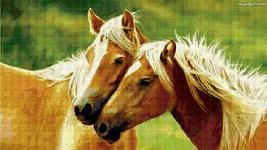Лошади - лошади, кони, животные - предпросмотр