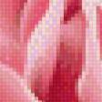 Предпросмотр схемы вышивки «розы» (№1031705)