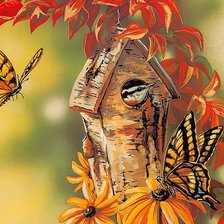 птичка и бабочки