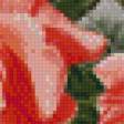 Предпросмотр схемы вышивки «розы» (№1031843)