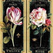 Оригинал схемы вышивки «тюльпан и роза» (№1032209)