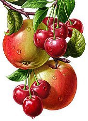 яблоки и вишня - оригинал