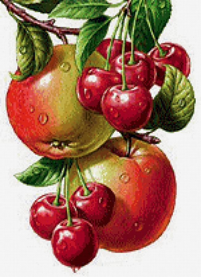 яблоки и вишня - предпросмотр