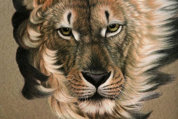 Лев - дикие животные, кошки, животные, лев - оригинал