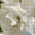 Предпросмотр схемы вышивки «Ветка сакуры» (№1034285)