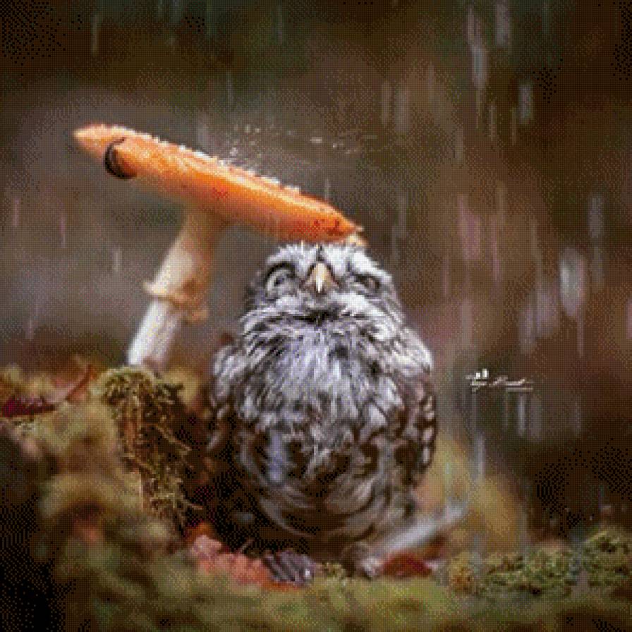 Дождь - птичка, дождь, грибы - предпросмотр