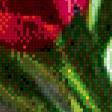 Предпросмотр схемы вышивки «тюльпаны» (№1037345)