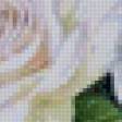 Предпросмотр схемы вышивки «розы» (№1037848)