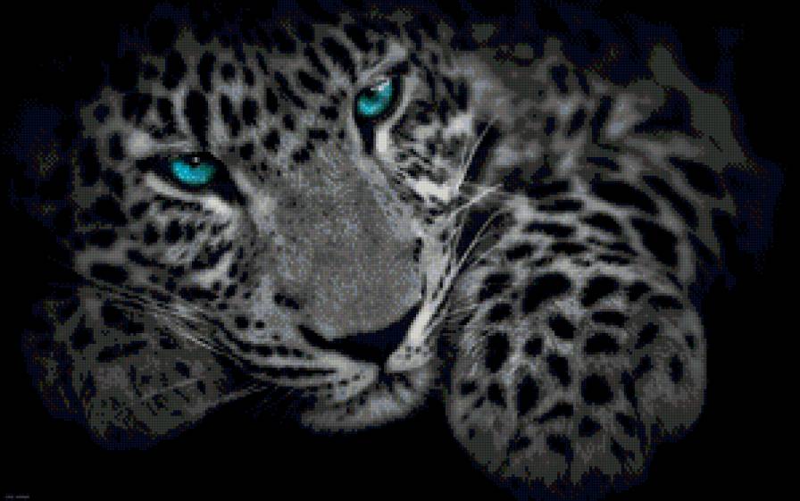 Леопард - дикие кошки - предпросмотр