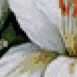 Предпросмотр схемы вышивки «Лилии» (№1041957)