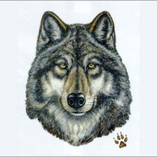 Оригинал схемы вышивки «волк» (№1046397)