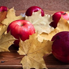 Оригинал схемы вышивки «яблоки и кленовые листья» (№1046809)