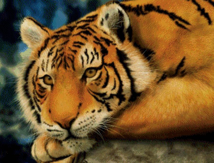 тигр - тигры - предпросмотр