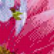 Предпросмотр схемы вышивки «Розовые цветы» (№1049418)