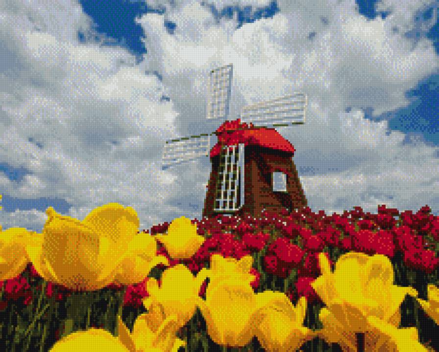 мельница - мельница, цветы, тюльпаны, поле - предпросмотр