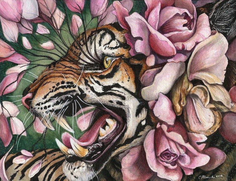 Хищник - тигр, природа, животные, кошки, цветы, хищник - оригинал