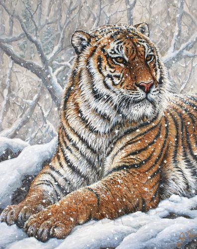 тигр - символ величия и мощи - оригинал