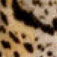 Предпросмотр схемы вышивки «Леопарды» (№1054657)