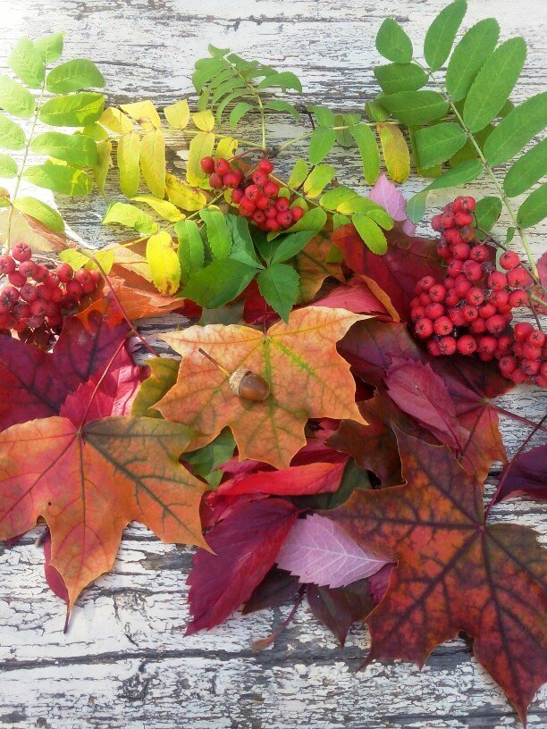 Осенний букет - осень, листья - оригинал