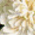 Предпросмотр схемы вышивки «Пионы великолепные» (№1055104)