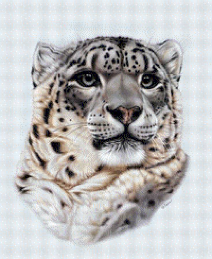 Леопард - красавец, леопард, красота, дикая кошка - предпросмотр