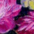 Предпросмотр схемы вышивки «цветы» (№1055142)
