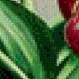 Предпросмотр схемы вышивки «тюльпаны» (№1056170)