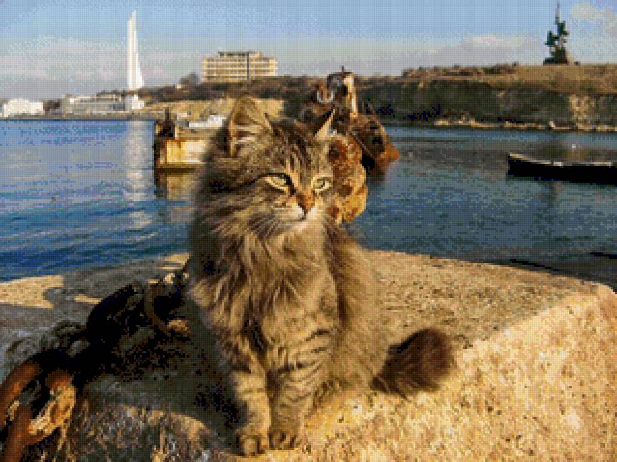 Севастопольский кот - севастополь, море, кот, город, лодки, бухта, крым, памятник - предпросмотр