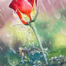 Оригинал схемы вышивки «роза в дожде» (№1057773)