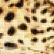 Предпросмотр схемы вышивки «Леопард» (№1057827)