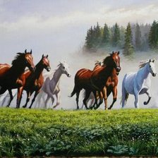 Дикие лошади бегут от грозы