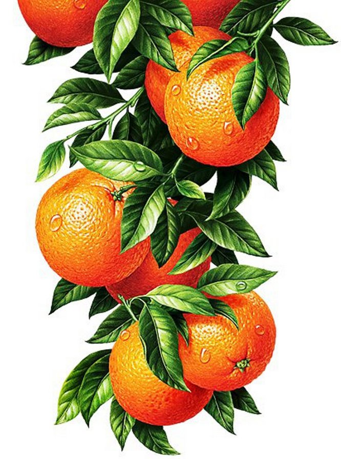 апельсины - картина, для кухни - оригинал