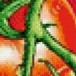Предпросмотр схемы вышивки «томаты» (№1060321)