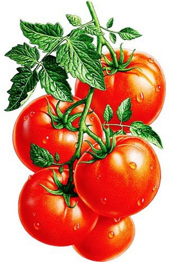 томаты - для кухни, картина - оригинал