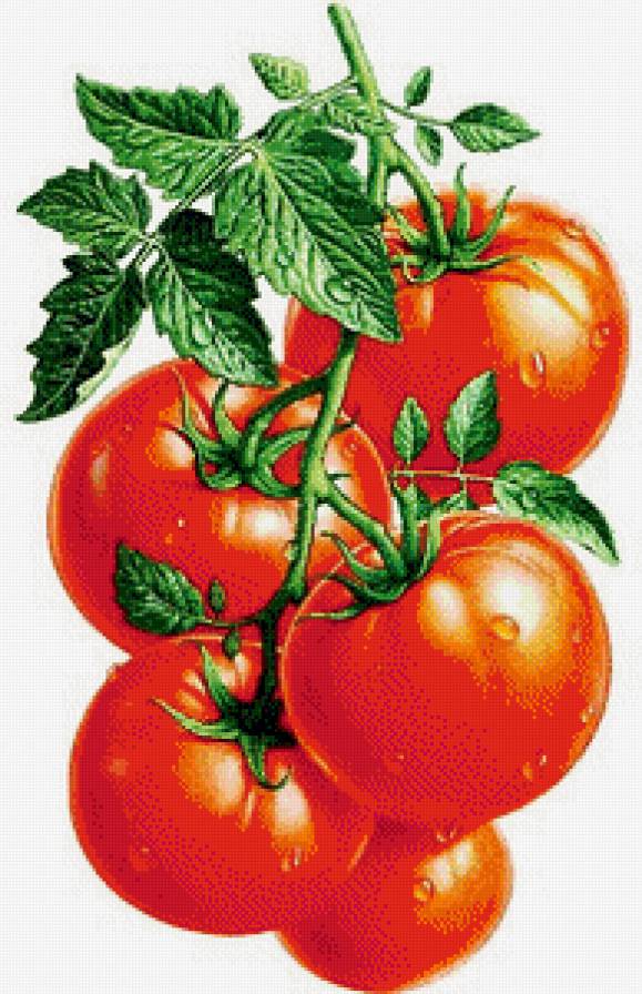томаты - картина, для кухни - предпросмотр