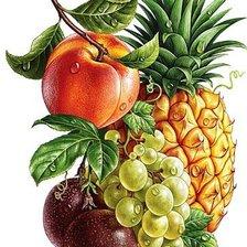 Оригинал схемы вышивки «фрукты» (№1060327)
