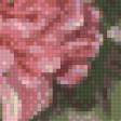 Предпросмотр схемы вышивки «цветы (30)» (№1062329)