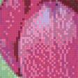 Предпросмотр схемы вышивки «тюльпаны» (№1062519)