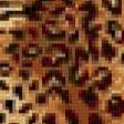 Предпросмотр схемы вышивки «леопард» (№1063064)