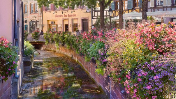 Канал - франция, цветы, вода, канал - оригинал
