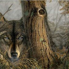 Оригинал схемы вышивки «волк» (№1064595)