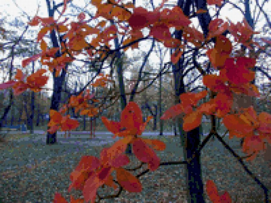 Тихая осень - осень, парк, листва - предпросмотр