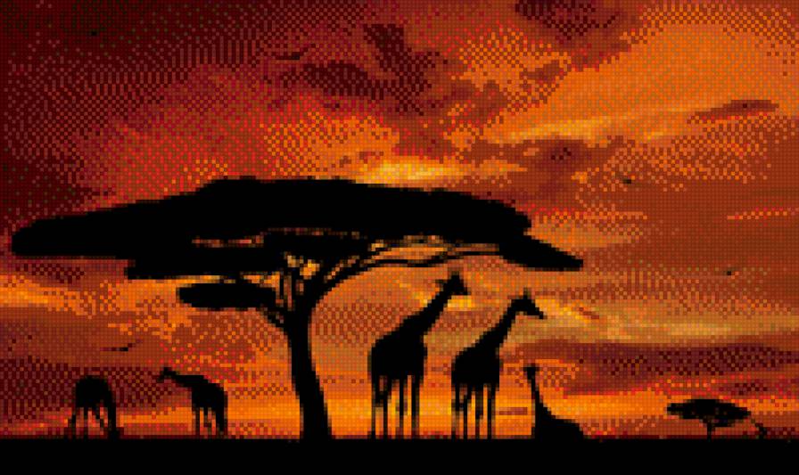 жирафы - предпросмотр