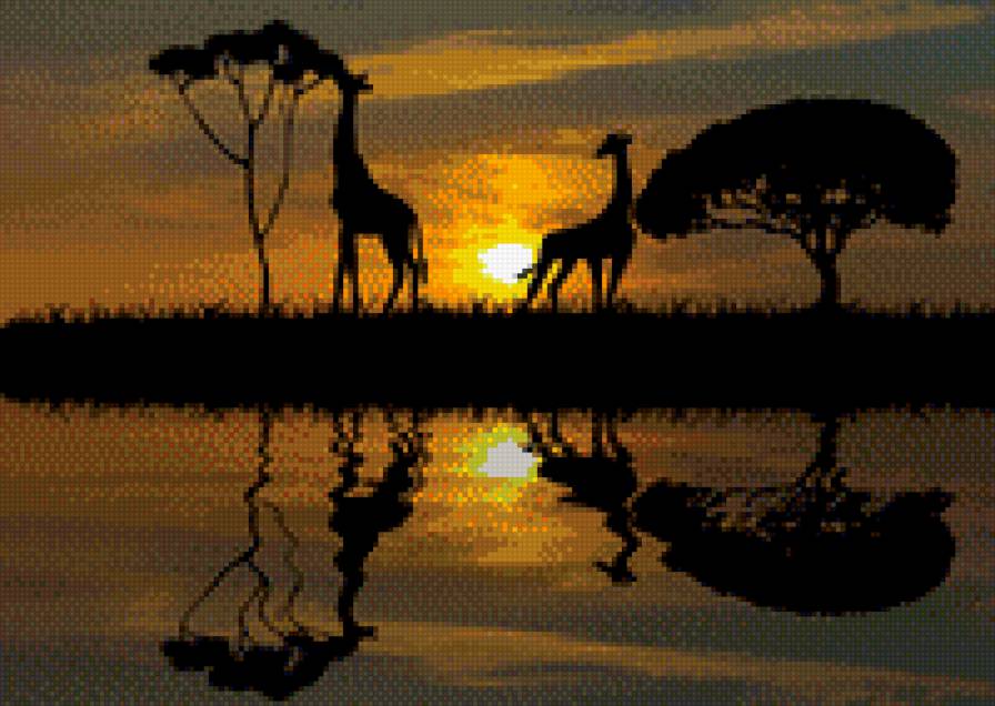 жирафы - предпросмотр