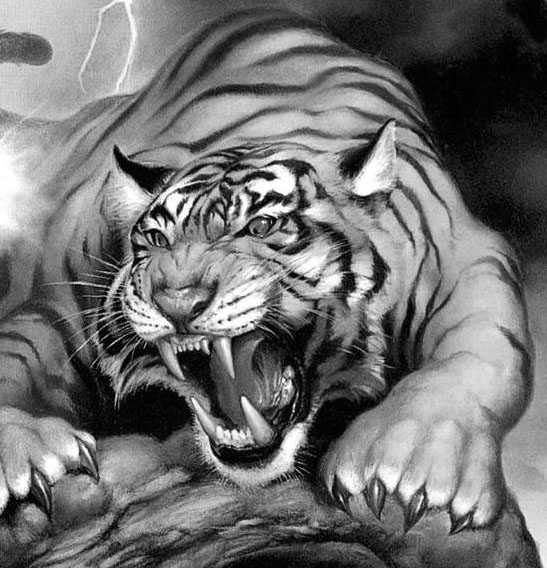 Могущественный тигр - оскал, тигр, монохром - оригинал