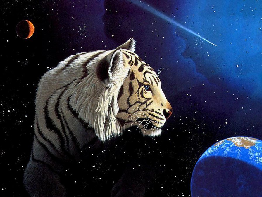 Белый тигр - космос, белый тигр, земля, луна - оригинал
